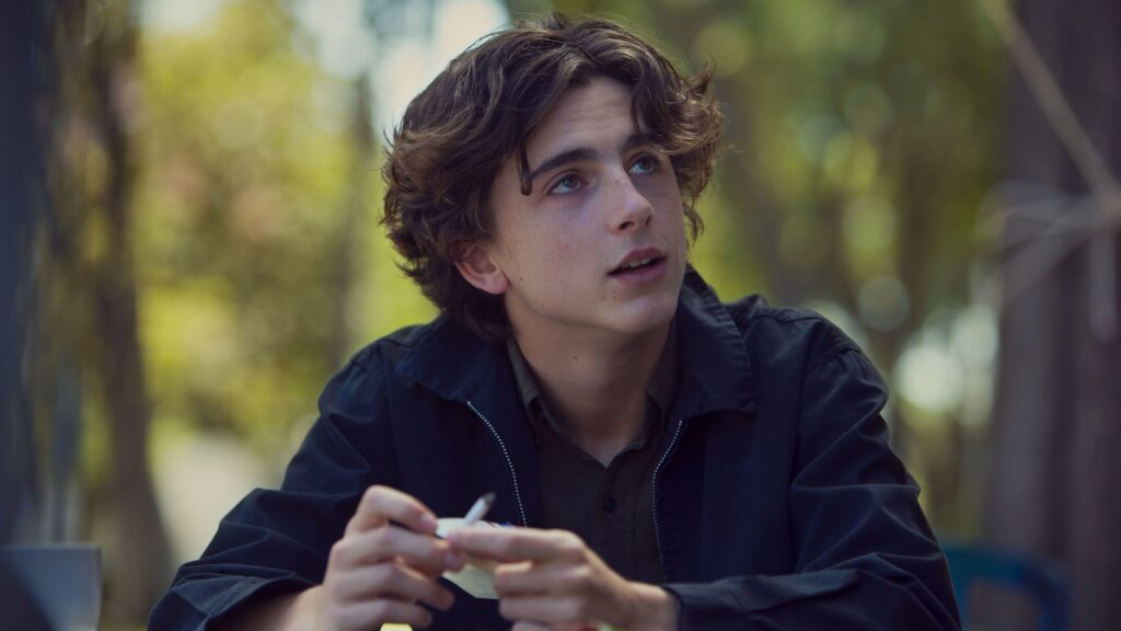 Timothée Chalamet